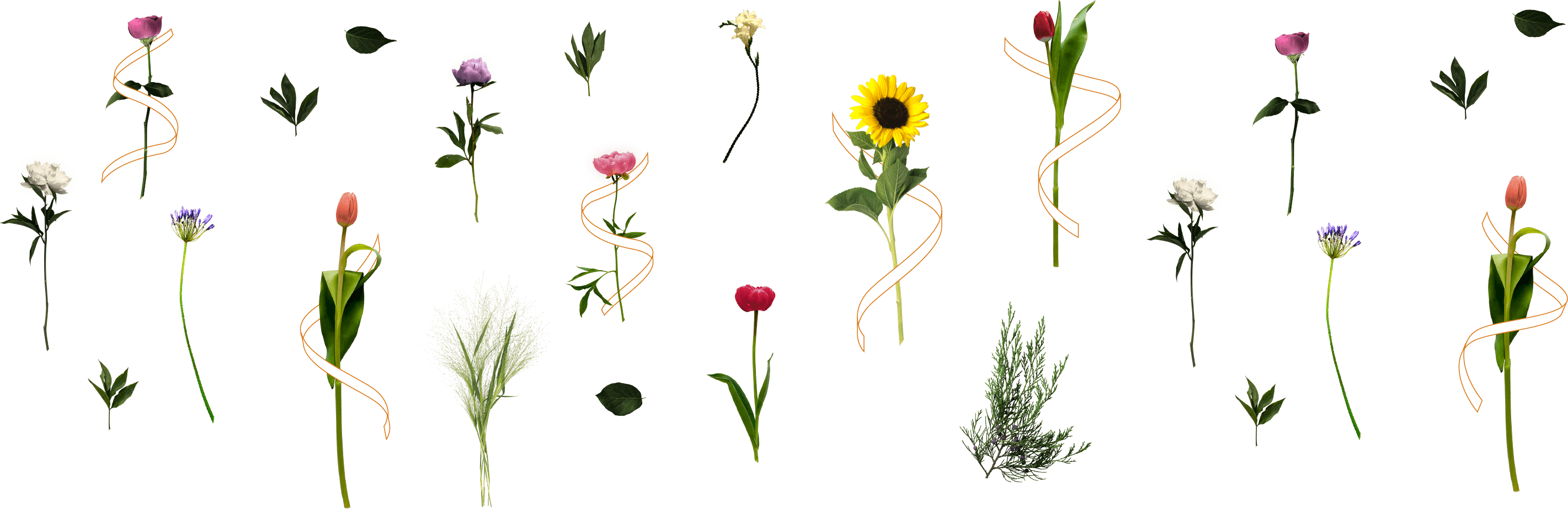 お花に関するコラム