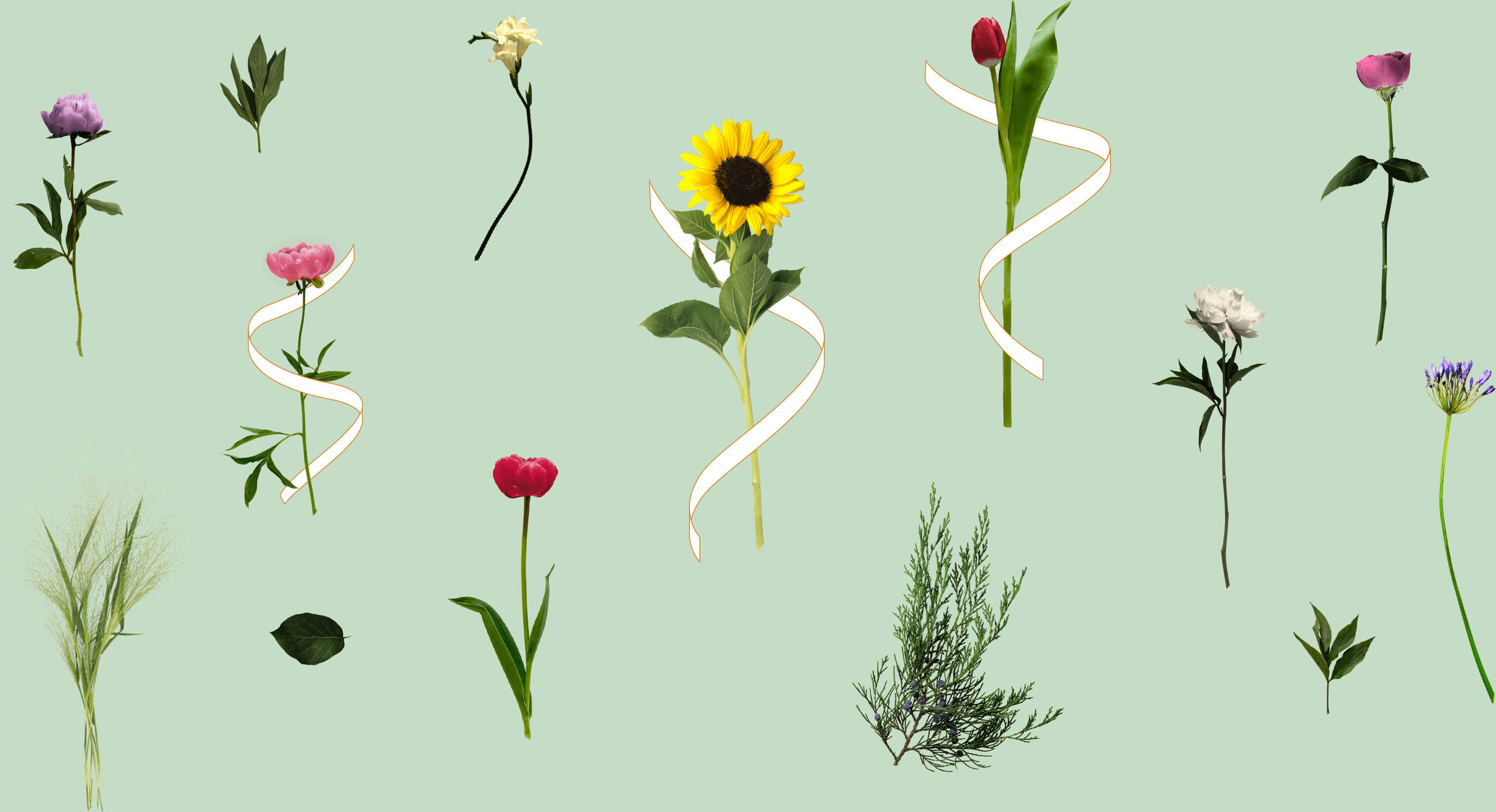 Ribbon 福岡市のフラワーショップ